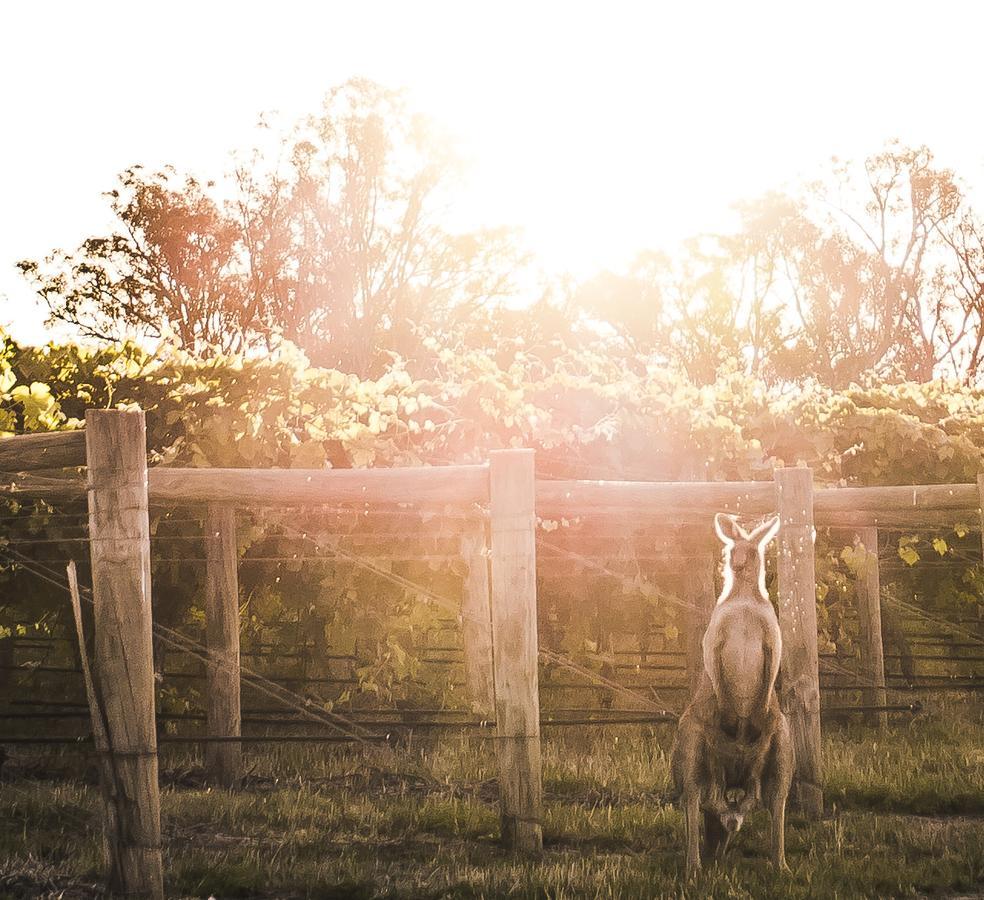 The Mitchelton Hotel Nagambie - Mgallery By Sofitel Bagian luar foto