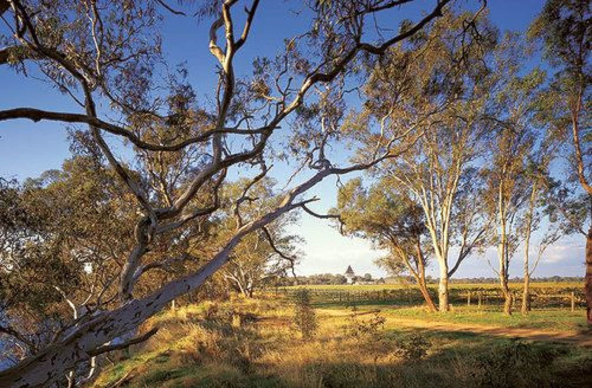 The Mitchelton Hotel Nagambie - Mgallery By Sofitel Bagian luar foto